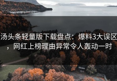 汤头条轻量版下载盘点：爆料3大误区，网红上榜理由异常令人轰动一时