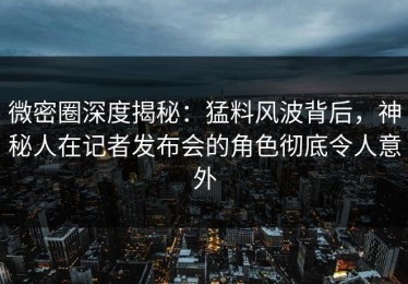 微密圈深度揭秘：猛料风波背后，神秘人在记者发布会的角色彻底令人意外