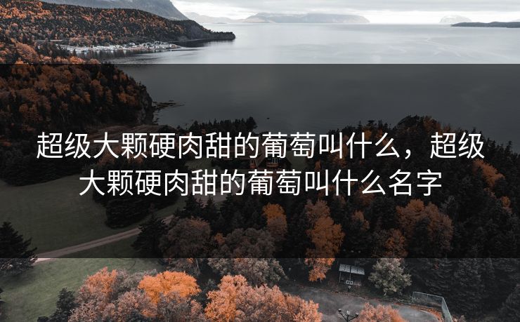 超级大颗硬肉甜的葡萄叫什么,超级大颗硬肉甜的葡萄叫什么名字 超级大颗硬肉甜的葡萄叫什么,超级大颗硬肉甜的葡萄叫什么名字