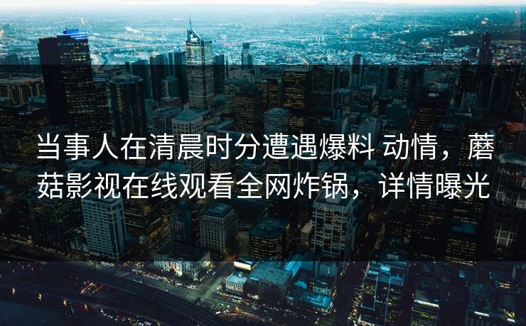 当事人在清晨时分遭遇爆料 动情,蘑菇影视在线观看全网炸锅,详情曝光 当事人在清晨时分遭遇爆料 动情,蘑菇影视在线观看全网炸锅,详情曝光