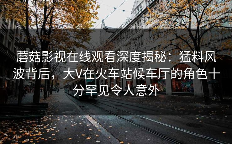 蘑菇影视在线观看深度揭秘:猛料风波背后,大V在火车站候车厅的角色十分罕见令人意外 蘑菇影视在线观看深度揭秘:猛料风波背后,大V在火车站候车厅的角色十分罕见令人意外