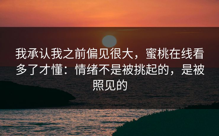 我承认我之前偏见很大，蜜桃在线看多了才懂：情绪不是被挑起的，是被照见的